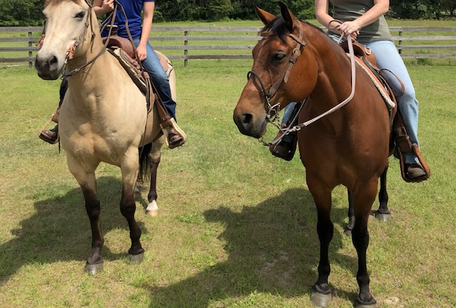 Reader Case Study: Firefighter and Teacher Living on a Horse Farm