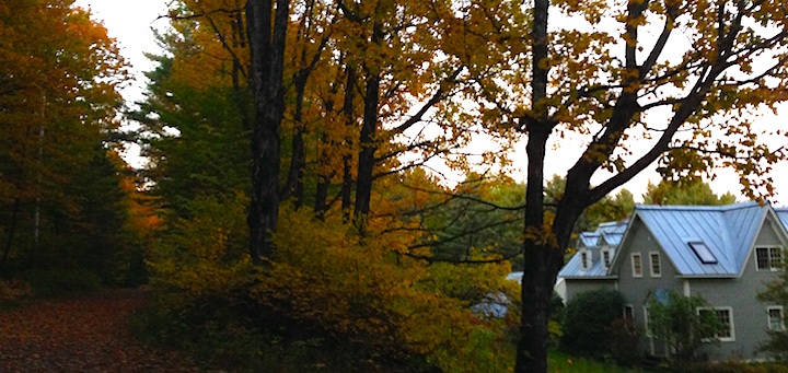 Our house peeking through the trees