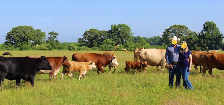 Reader Case Study: Making Full-Time Farming a Reality in Arkansas