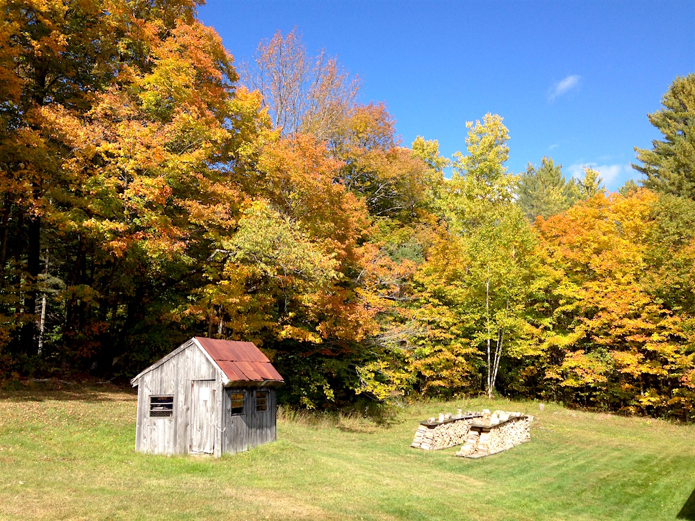 Woodpile leaves!