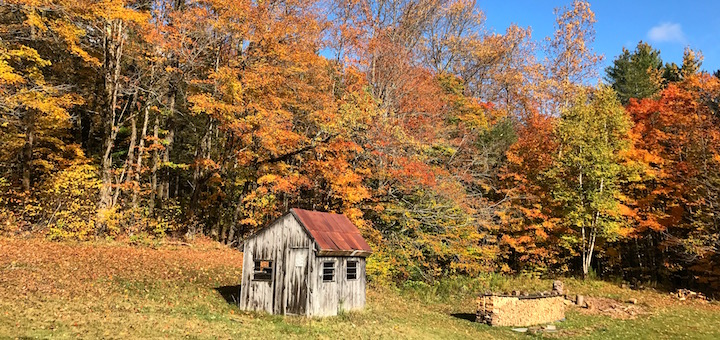 No Turkey, No Problem! How We Celebrate Thanksgiving Our Way