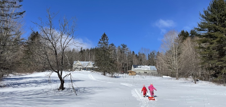 This Month On The Homestead: A Patch of Grass, A Gallon of Maple Syrup and Some Lambs