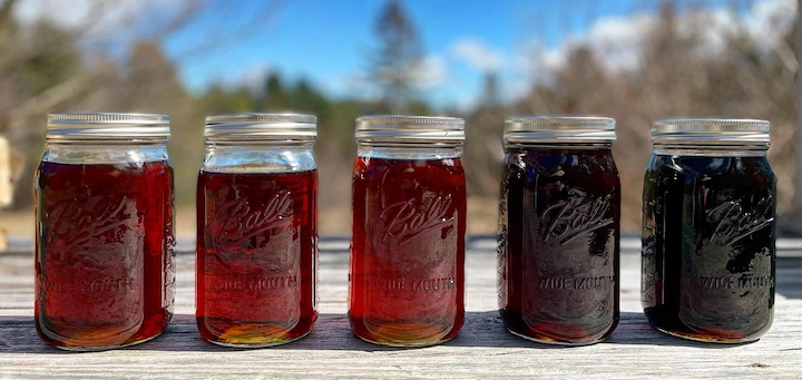 This Month On The Homestead: Starting Seeds and Picking Flowers