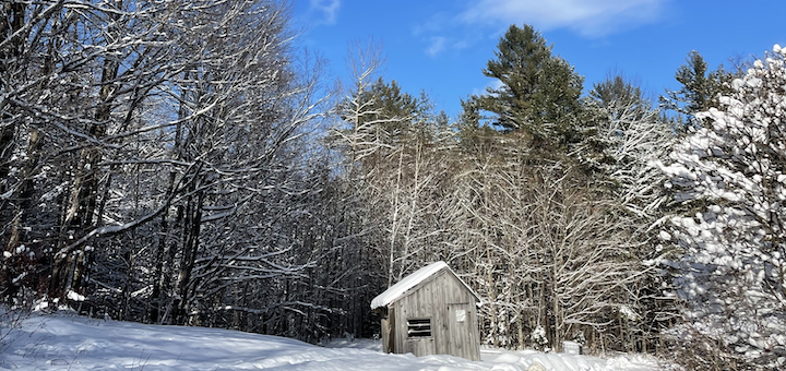 This Month On The Homestead: Bonfires In The Snow and Leisure Cilantro